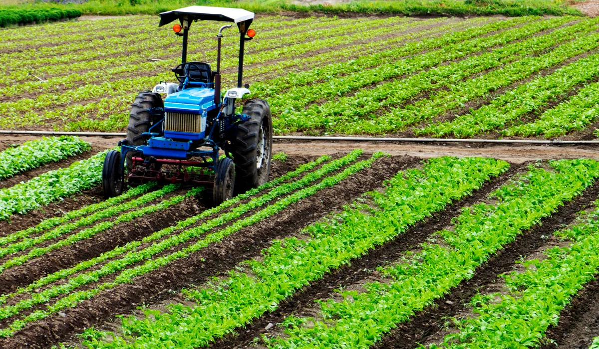 Avocat en spécialisé en création de sociétés agricoles à Libourne