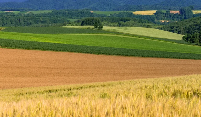 Avocat contrôle administratif et agricole à Libourne