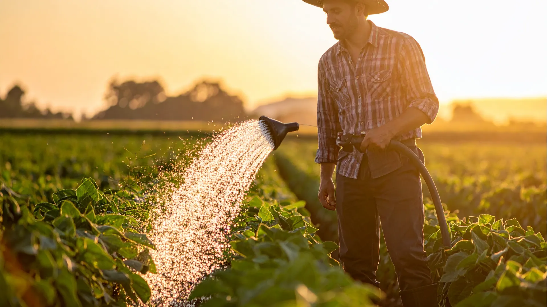 Avocat spécialiste de la réglementation environnementale et agricole à Libourne